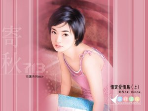 情定爱情岛