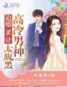 高冷男神太腹黑：追婚36計